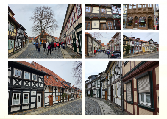 2023 Harz (35)