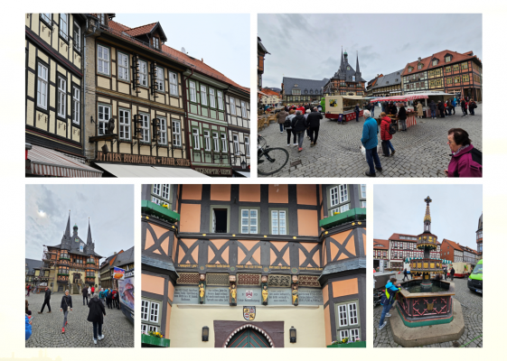 2023 Harz (36)
