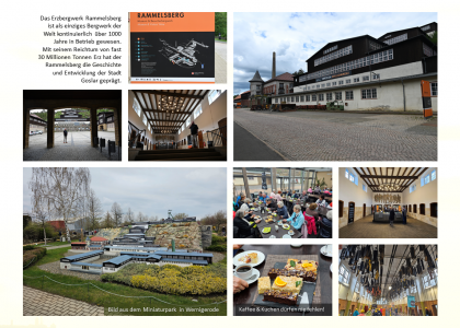 2023 Harz (56)