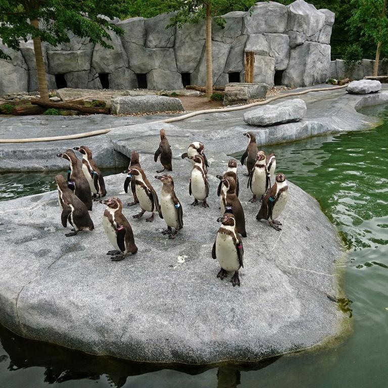 2023-07-24 Mannheim Gartenausstellung (23)