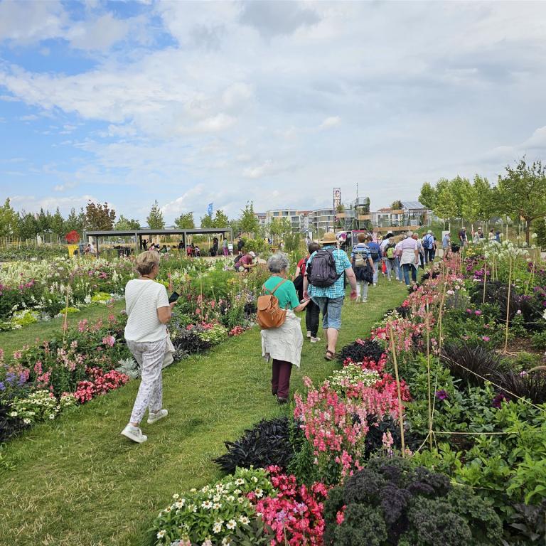 2023-07-24 Mannheim Gartenausstellung (26)