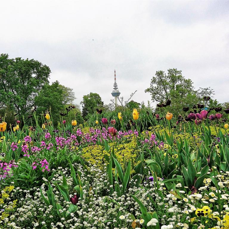 2023-07-24 Mannheim Gartenausstellung (2)