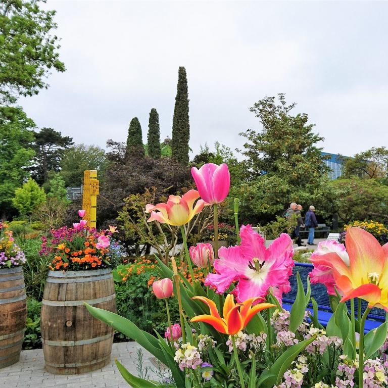 2023-07-24 Mannheim Gartenausstellung (4)