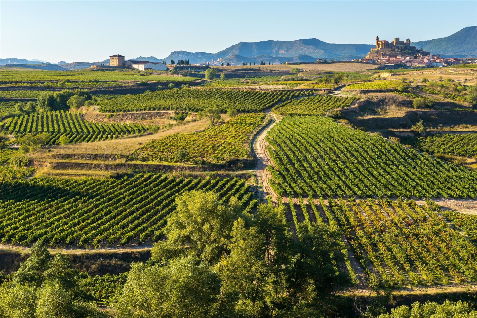 La Rioja