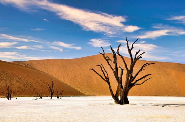 2024 Namibia (103)