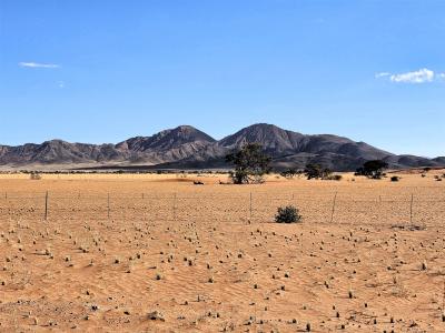 2024 Namibia (19)