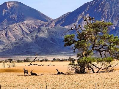2024 Namibia (20)