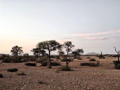 2024 Namibia (23)
