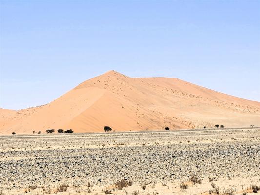2024 Namibia (26)