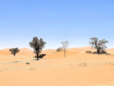 2024 Namibia (27)
