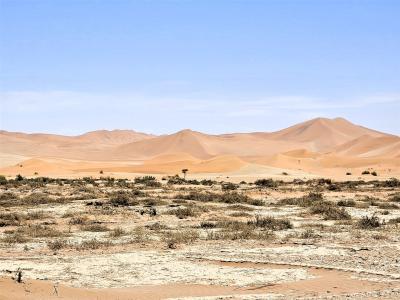 2024 Namibia (30)