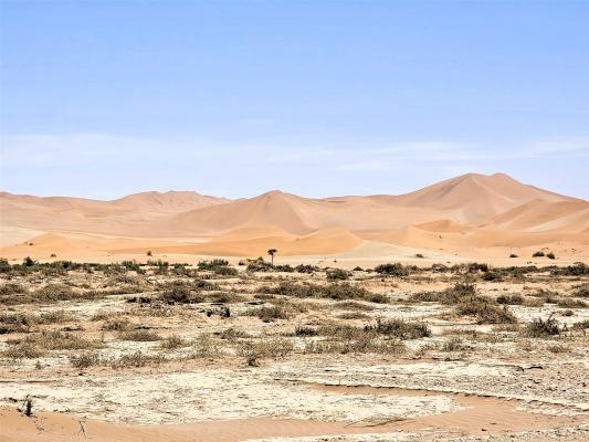 2024 Namibia (30)