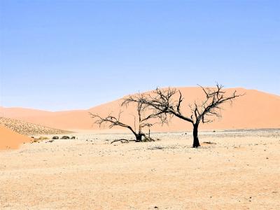 2024 Namibia (32)