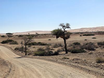 2024 Namibia (35)
