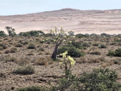 2024 Namibia (36)