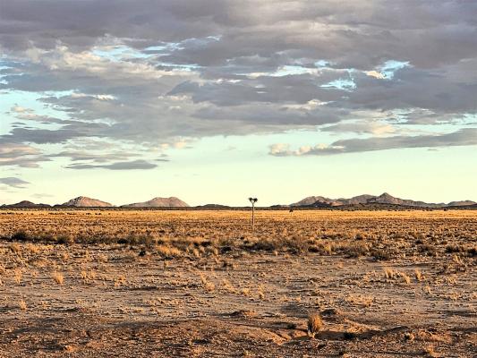 2024 Namibia (3)