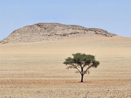 2024 Namibia (43)