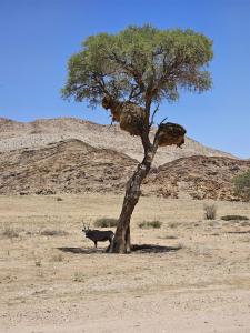 2024 Namibia (44)