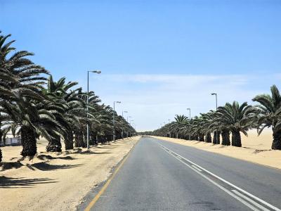 2024 Namibia (47)
