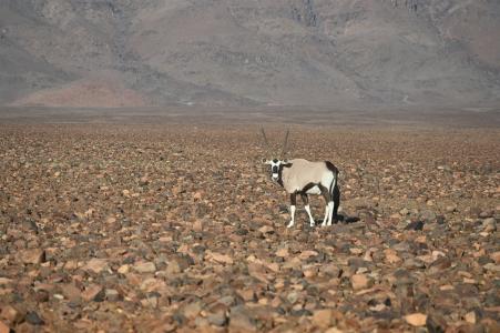 2024 Namibia (86)
