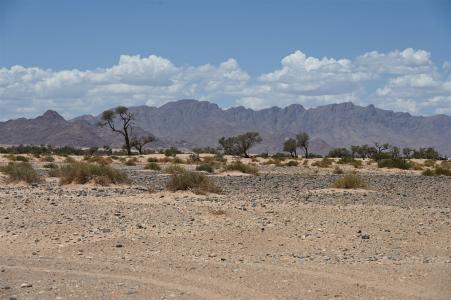 2024 Namibia (88)