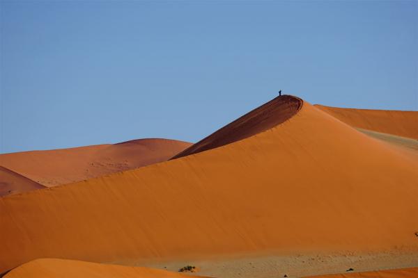 2024 Namibia (98)