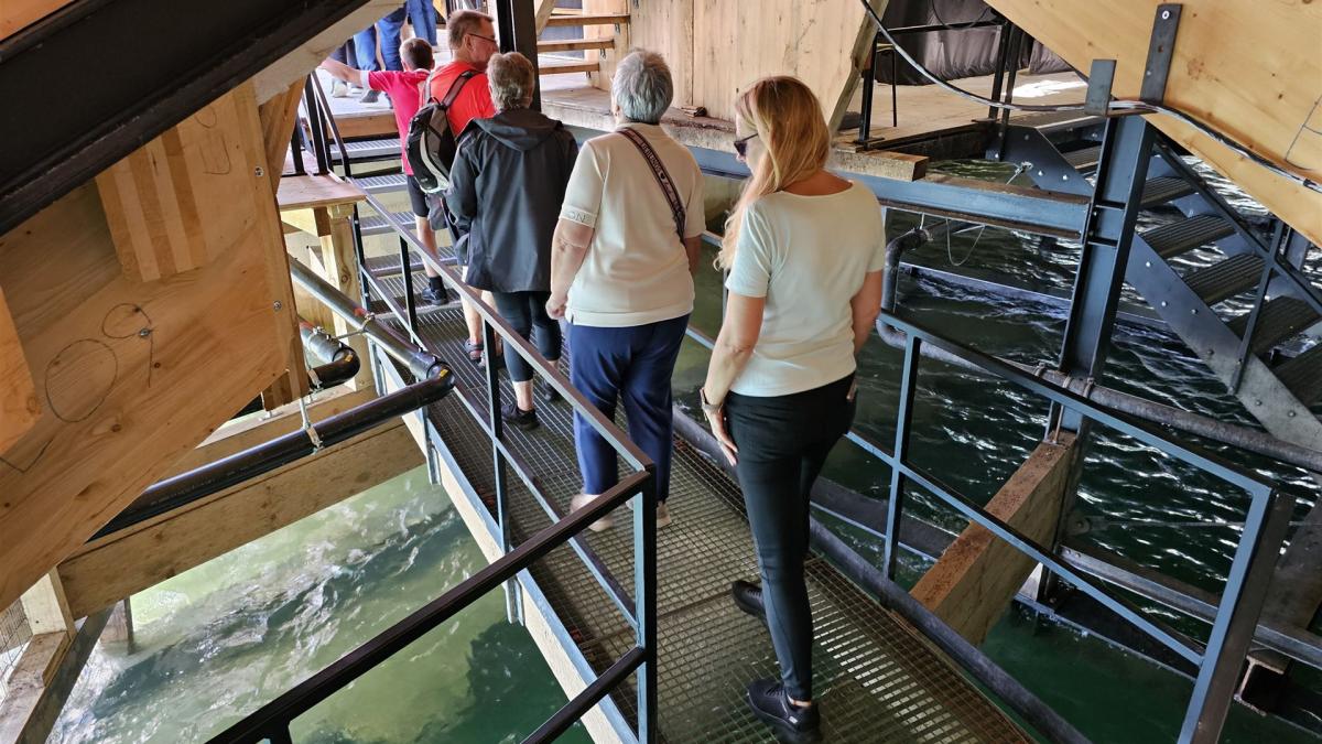 2026 Bregenz MB-Impressionen (3)